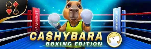 Cashybara Boxing Edition