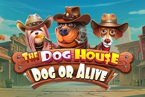 The Dog House - Dog or Alive