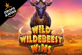 Wild Wildebeest Wins